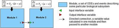 Thoroughly Calibrated Modular Agent-Based Model of the Human Cardiovascular and Renal Systems for Blood Pressure Regulation in Health and Disease